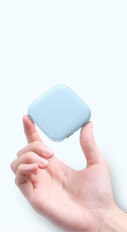 The Powerbank Deluxe 12000mAh