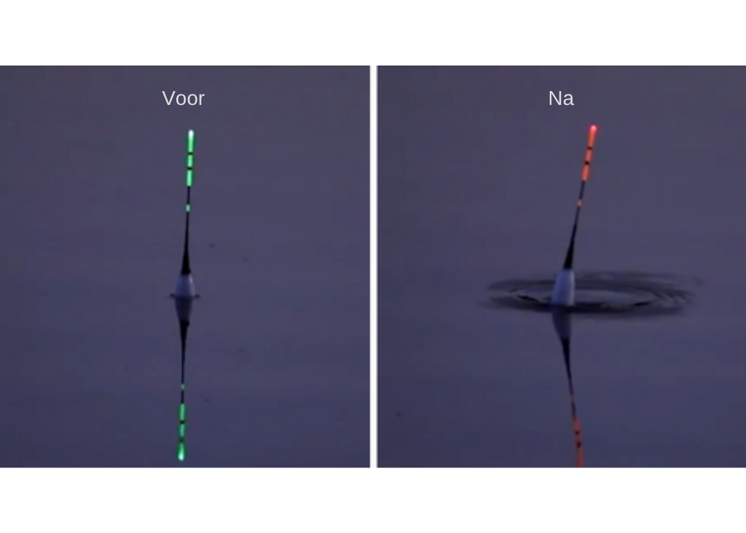 BiteHunter™ – LED Dobber met Kleurindicatie bij Elke Beet