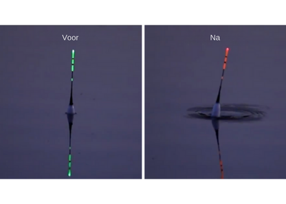 BiteHunter™ – LED Dobber met Kleurindicatie bij Elke Beet