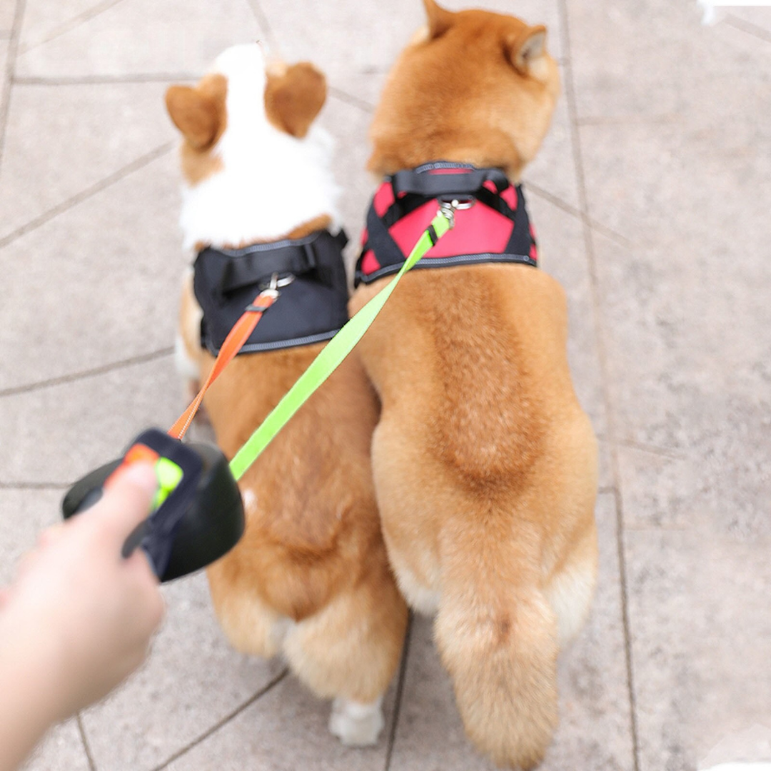 DogSync™️ – Perfecte controle over twee honden tegelijk